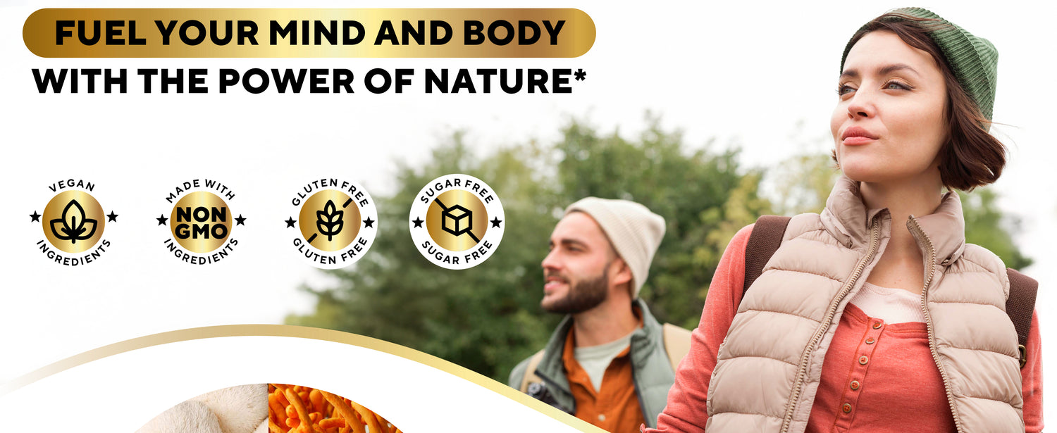 Promotional banner for VitaUp Mushroom Complex 10-in-1 Gummies featuring hikers, key premium ingredients like Lions Mane and reishi, and product benefits including brain focus, immune support, and energy boost.