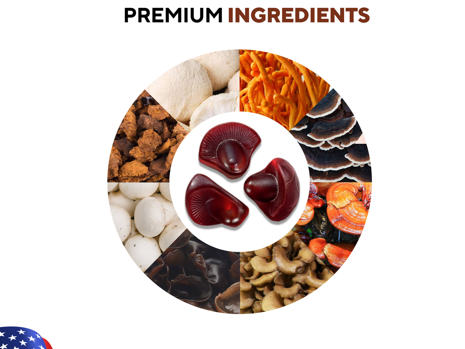 Promotional banner for VitaUp Mushroom Complex 10-in-1 Gummies featuring hikers, key premium ingredients like Lions Mane and reishi, and product benefits including brain focus, immune support, and energy boost.
