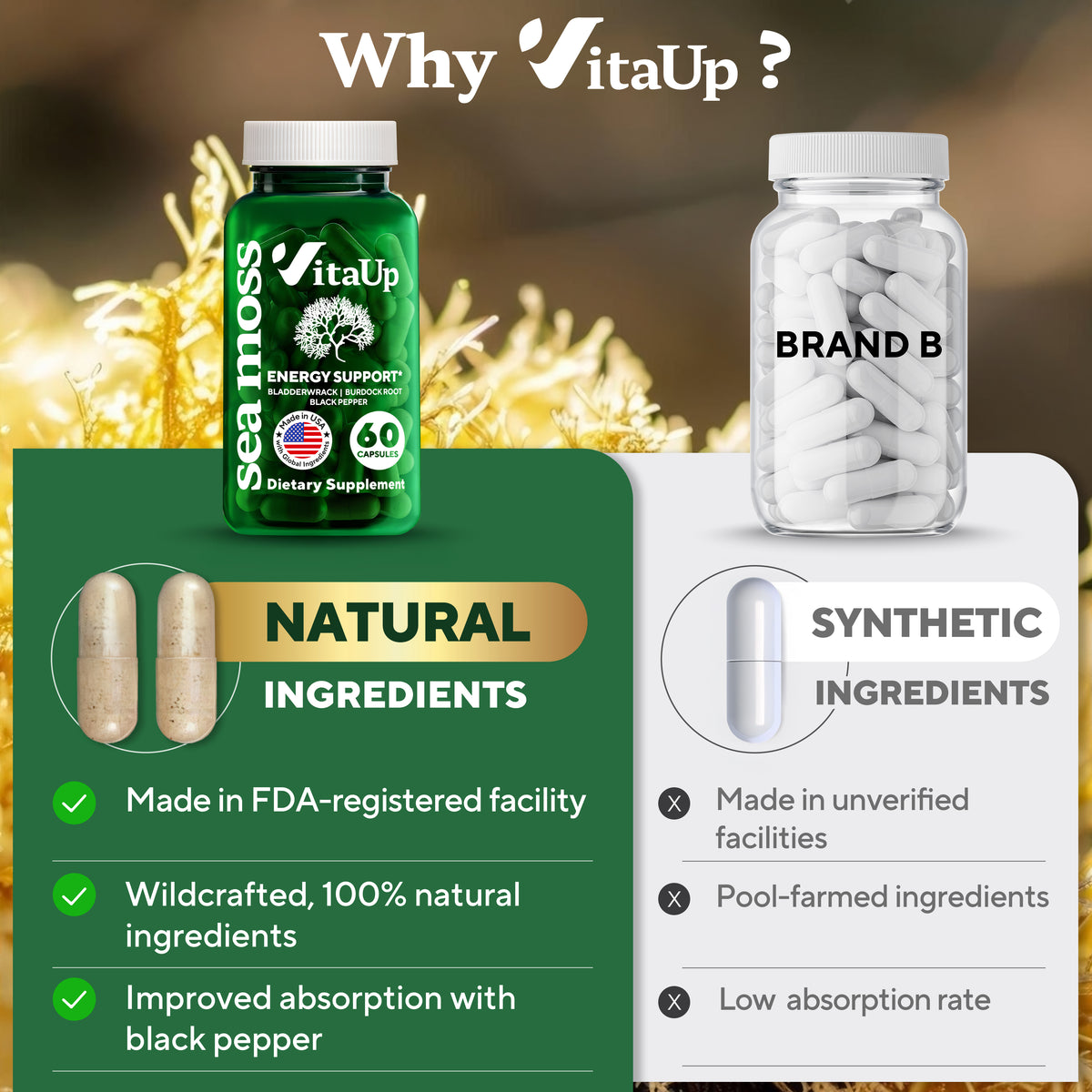 Comparison graphic of VitaUp Sea Moss capsules and Brand B. VitaUp highlights include natural ingredients, FDA-registered facility, wildcrafted sourcing, and added black pepper for absorption. Brand B is shown as using synthetic, pool-farmed ingredients with low absorption. Background features underwater sea moss imagery.