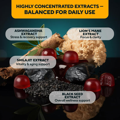 Ashwagandha extract - stress & recovery support, Lion's mane extract - focus&clarity, shilajit extract - vitality & aging support, black seed extract - overall wellness support