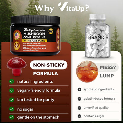 Natural ingredients, vegan-friendly, lab-tested, no sugar, gentle on the stomach