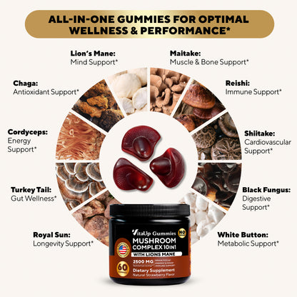 Infographic showing mushroom ingredients like Lion’s Mane, Chaga, and Cordyceps with respective wellness benefits