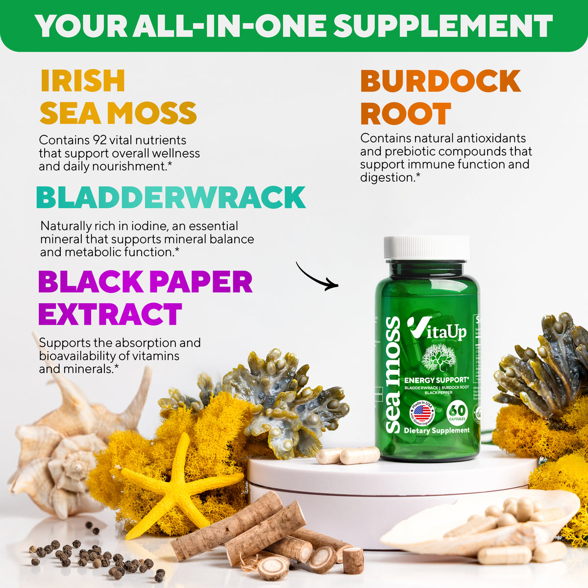 Benefits of Sea Moss supplement including immune health, digestive support, and thyroid balance.