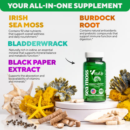 Benefits of Sea Moss supplement including immune health, digestive support, and thyroid balance.