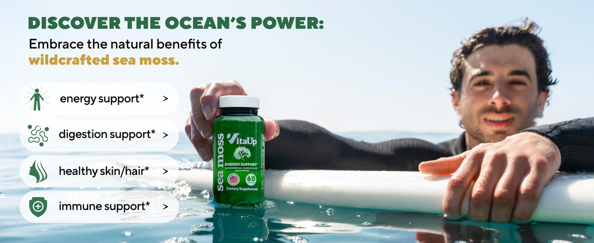 Man in the ocean holding VitaUp Sea Moss bottle, with wildcrafted sea moss and natural ingredient visuals highlighting benefits like energy, digestion, and immune support.