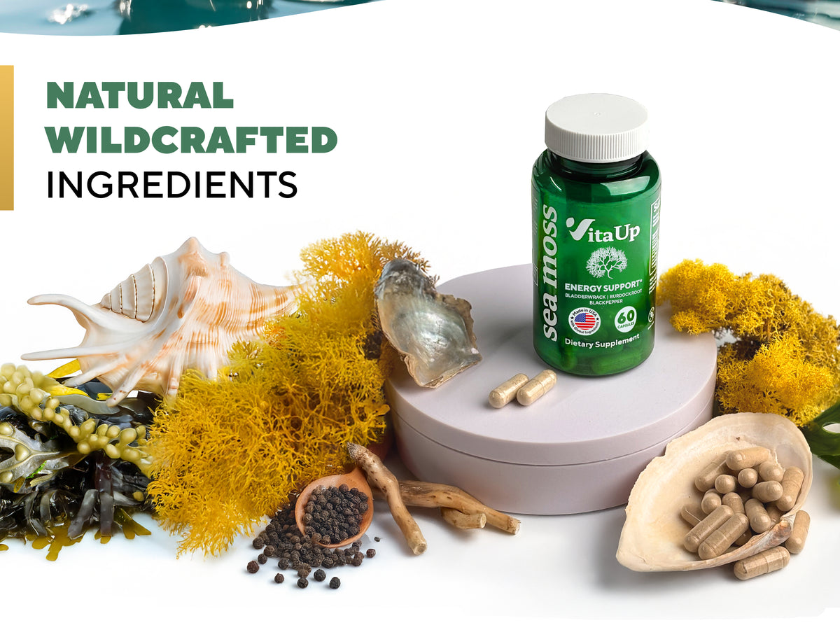 Man in the ocean holding VitaUp Sea Moss bottle, with wildcrafted sea moss and natural ingredient visuals highlighting benefits like energy, digestion, and immune support.