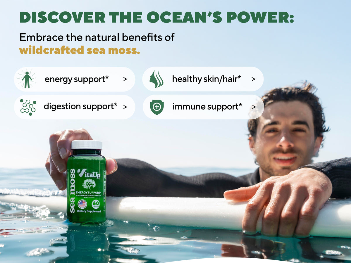 Man in the ocean holding VitaUp Sea Moss bottle, with wildcrafted sea moss and natural ingredient visuals highlighting benefits like energy, digestion, and immune support.