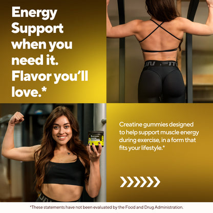 Energy support*